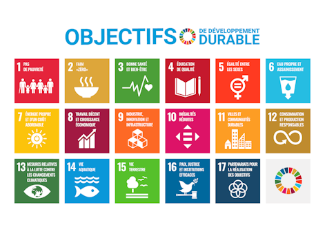 Poster of the 17 SDGs